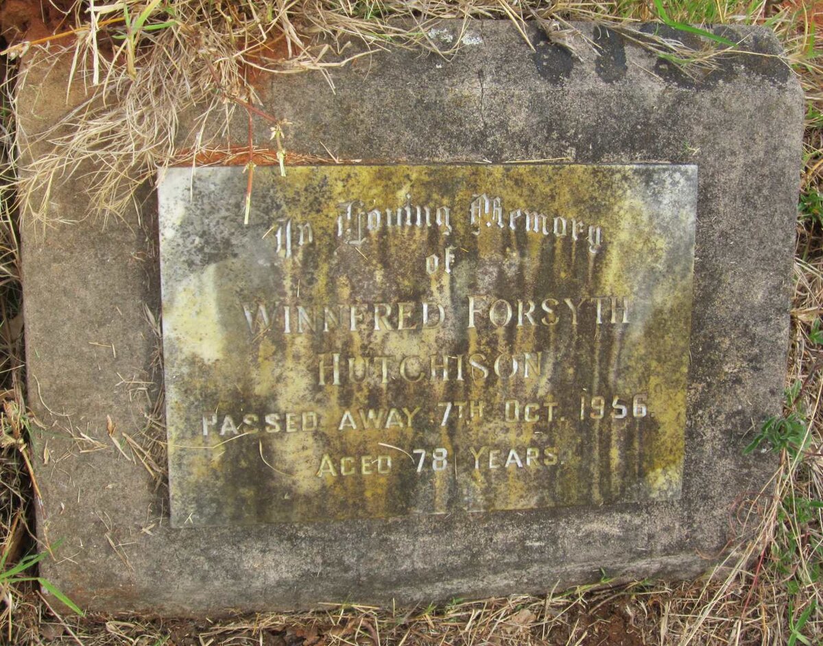 HUTCHISON Winnefred Forsyth -1956