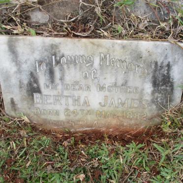 JAMES Bertha 1882-1961