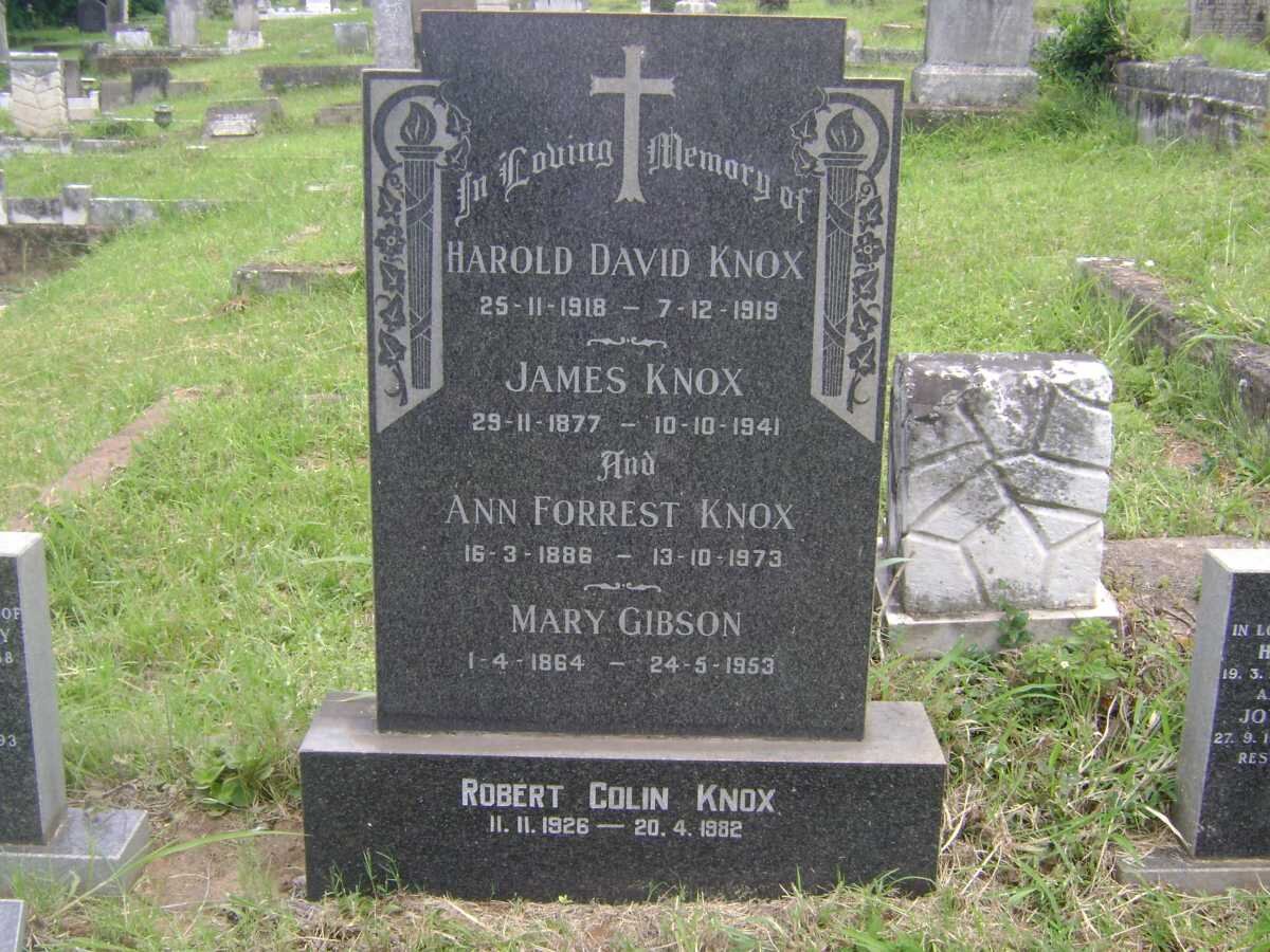 KNOX :: GIBSON