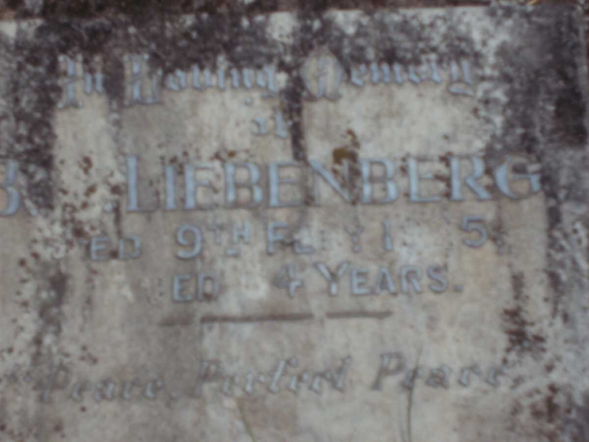 LIEBENBERG Barend Jacobus -1925