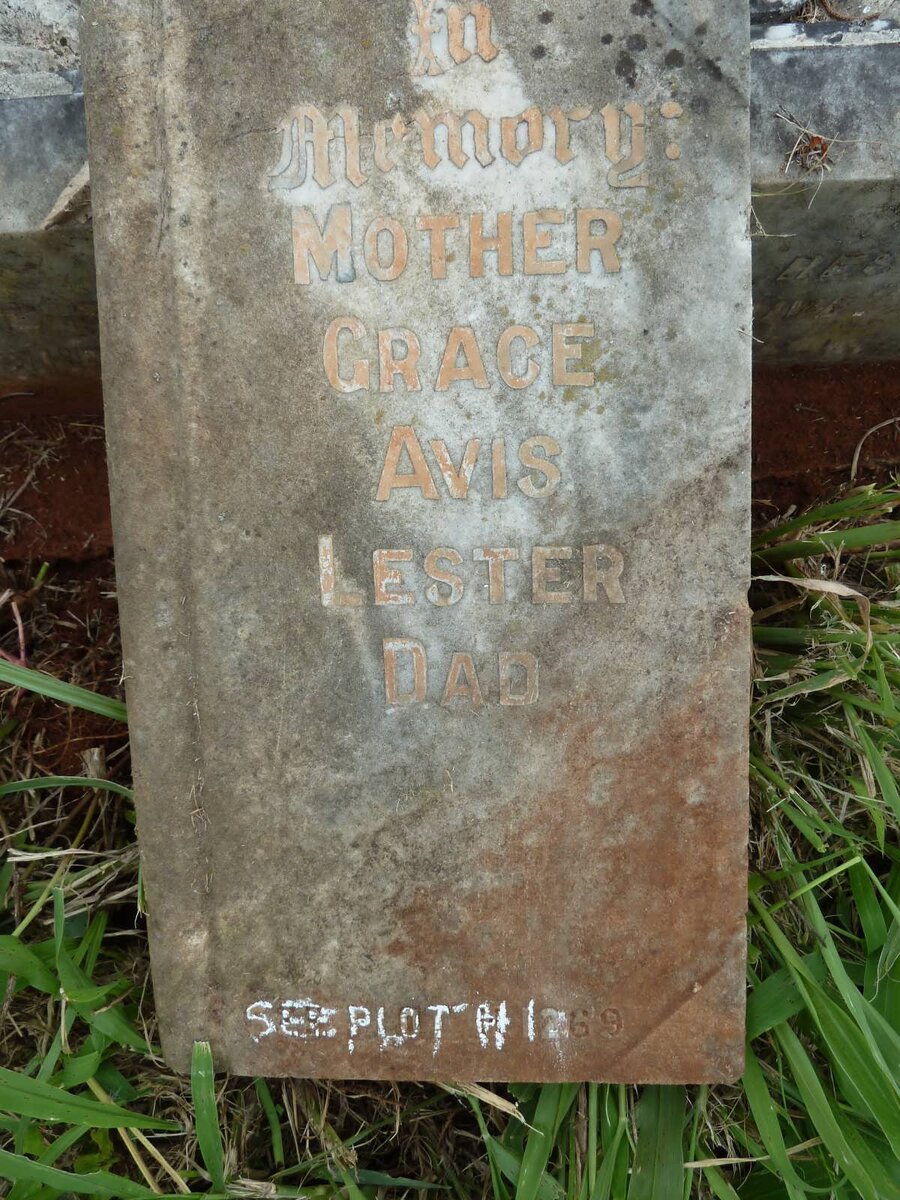 LESTER Grace Avis 