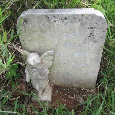 MORGAN Neil David 1956-1956