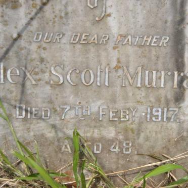 MURRAY Alex Scott -1917