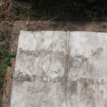 McCARTHY John -1948 :: McCARTHY Michael -1948