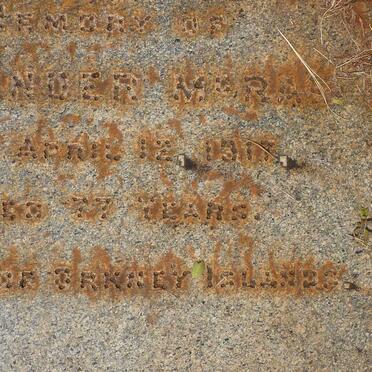 McRAE Alexander -1917