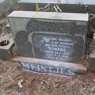 MEINTJES Robert 1955-1982