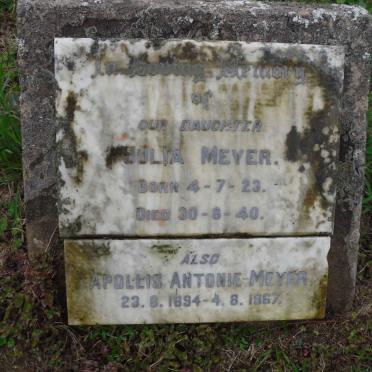 MEYER Apollis Antonie 1894-1967 :: MEYER Julia 1923-1940
