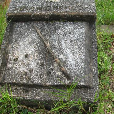 MIENIE Rudolph Johannes  1937-1955