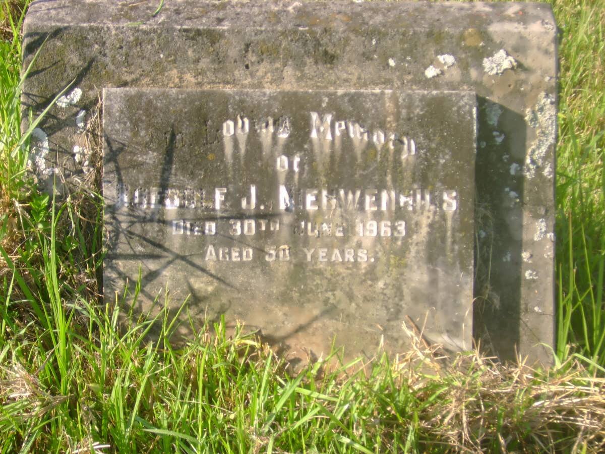 NIEUWENHUYS Roedolf J. -1963