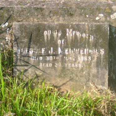 NIEUWENHUYS Roedolf J. -1963