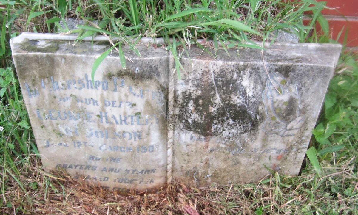 NICHOLSON George Hartley 1901-1962