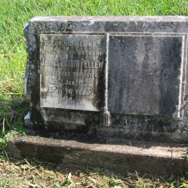 PELLEW James Hoskin -1935