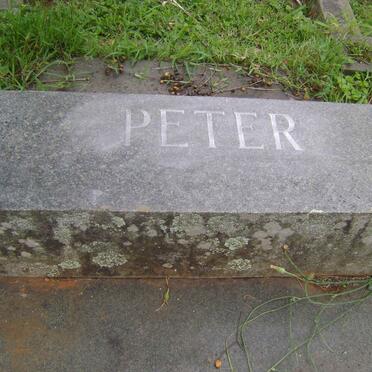 PETER Charles Louis -1953 :: STEWART Juliet Martha -1940