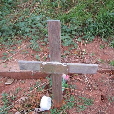 REDDY Alexandar Manesah David -2015