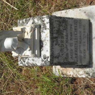 SAMUELSON Robert 1923 -1924 :: SAMUELSON Gabrielle -1924