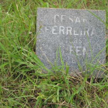 FERREIRA Cesar -1984