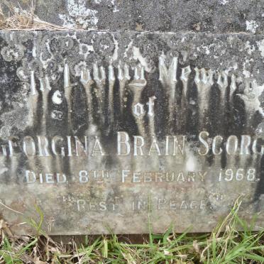 SCORGIE Georgina Brain -1968