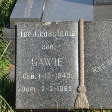 SCHOEMAN Gabriel Johannes Jurgens1943-1965