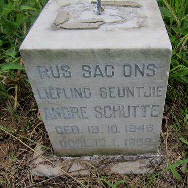 SCHUTTE Andre 1948-1959