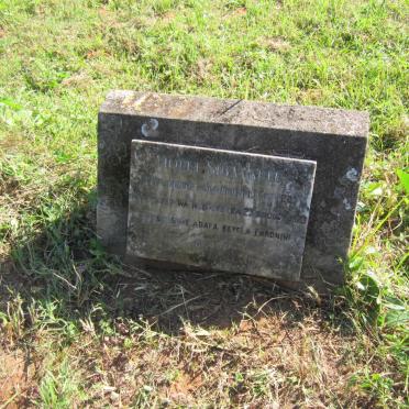 SIBANKULU Violet -1923