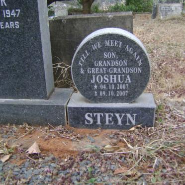 SINCLAIR Daniel McNaughton -1947 &amp; Nellie -1973 :: SINCLAIR Daniel McNaughton -1991 :: STEYN Joshua 2007-2007