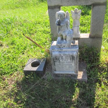 STADEN Dina Johanna Rosie, van 1920-2013 :: VAN STADEN Johann Andre 1959-1961