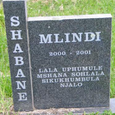SHABANE Mlindi 2000-2001