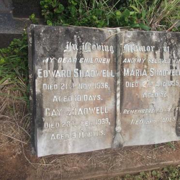 SHADWELL Maria -1955 :: SHADWELL Edward -1936 :: SHADWELL Gay -1939
