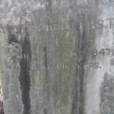 TYE Agnes Edelweiss -1947