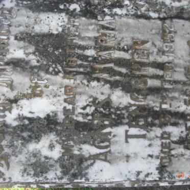 TENGGREN Agnes Maria -1952