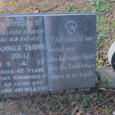 THAVER Vadivalu -1977 :: NAIDOO Siva 1931-1989