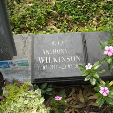 WILKINSON John Tony -1952 :: WILKINSON Phyllis Florence -1999 :: WILKINSON Anthony 1944-2009
