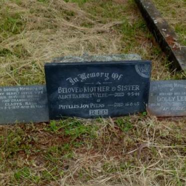 WILDE Alice Harriet -1944 :: PEENS Phyllis Joy -1965 :: NASH Gladys -1977 :: LEE Dolly -1978