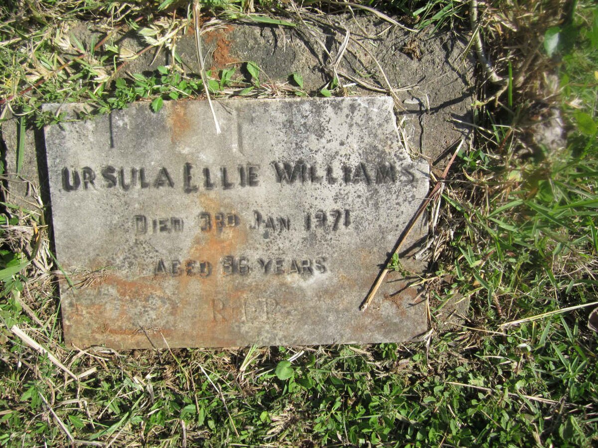 WILLIAMS Ursula Ellie -1971