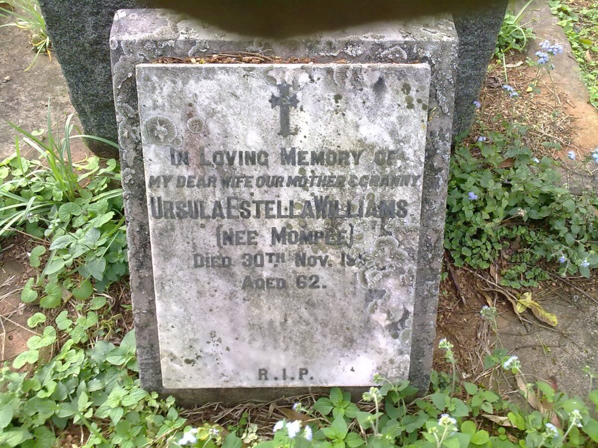 WILLIAMS Ursula Estella nee MOMPLE -1951