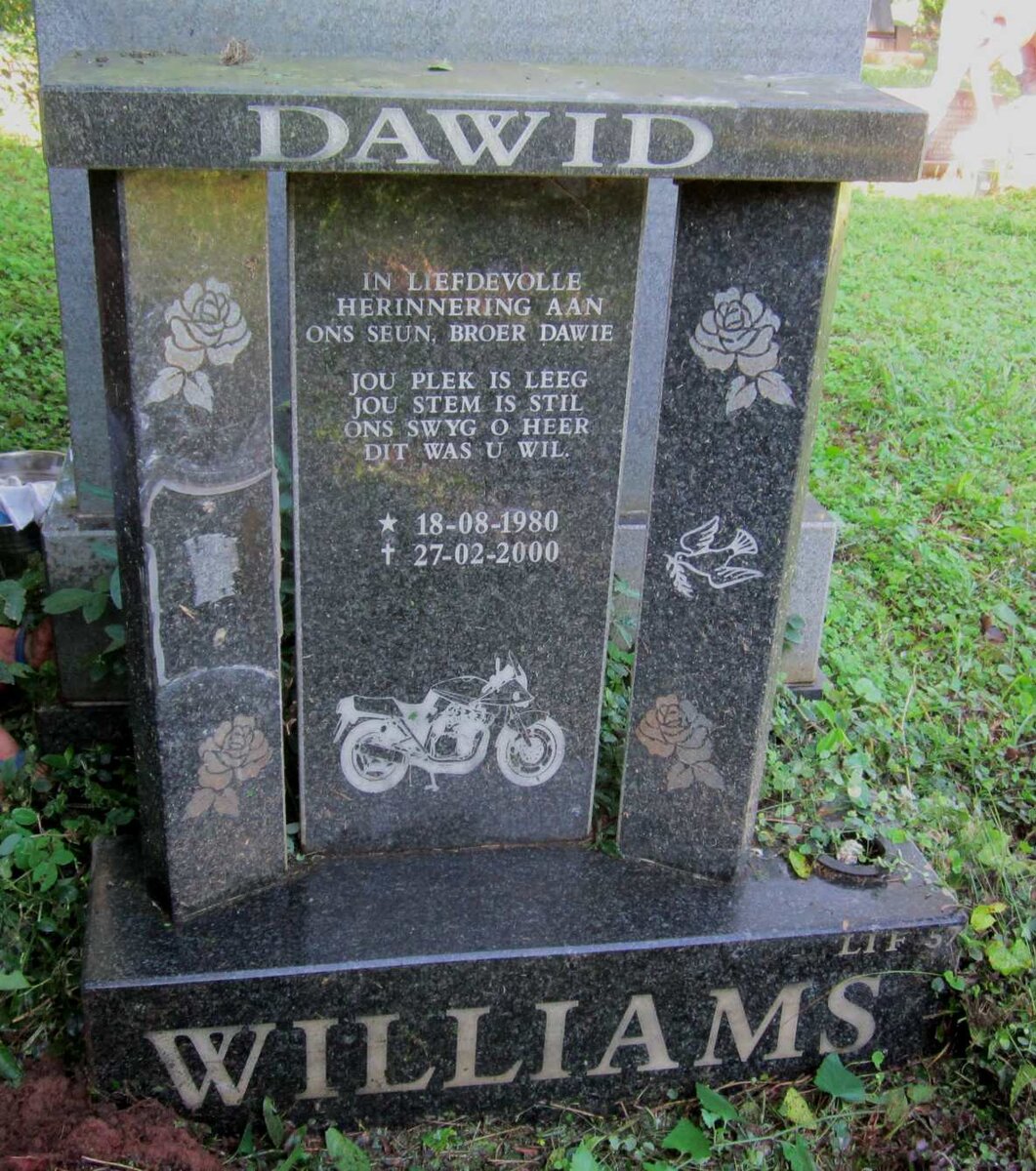 WILLIAMS Dawid 1980-2000