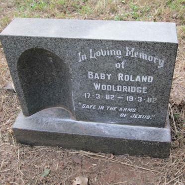 WOOLDRIDGE Roland 1982-1982