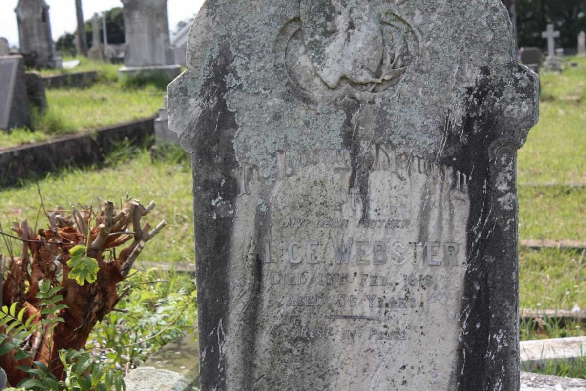 WEBSTER Alice -1916
