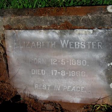 WEBSTER Elizabeth 1880-1966