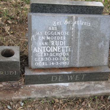 WET Antoinette, de nee SCHOON 1956-1982