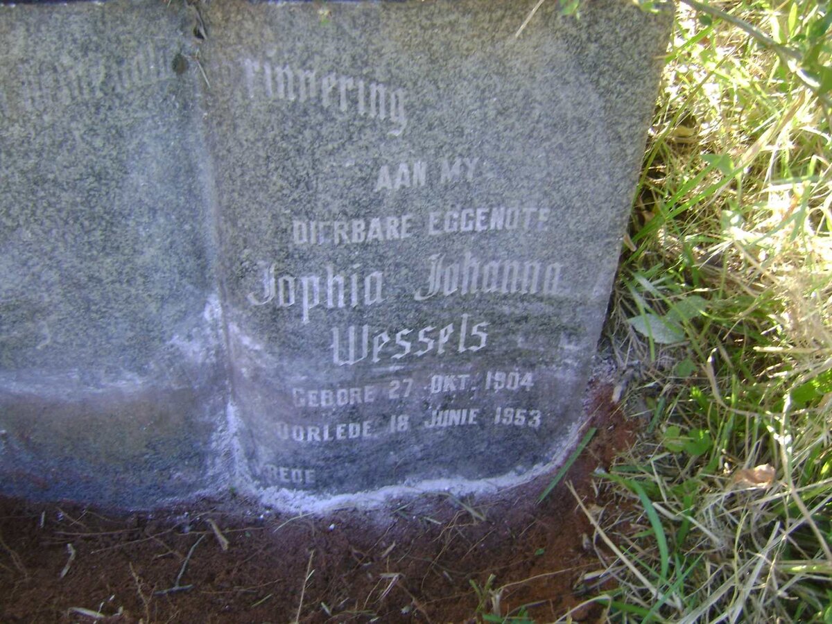 WESSELS Sophia Johanna 1904-1953