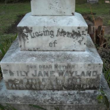 WAYLAND Emily Jane 1856-1929 :: PURDON Thelma Wayland -1946