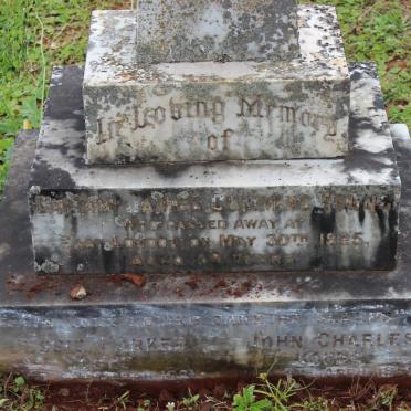 YOUNG James Cumming -1925 :: YOUNG John Charles -1960 :: YOUNG Jessie Harker -1961