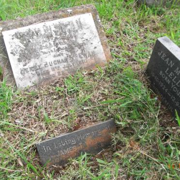 YOUNG :: McEWAN :: LELLO :: YOUNG