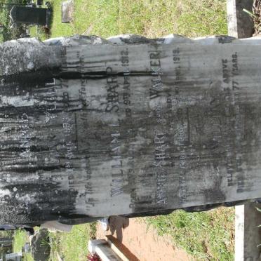 YUILL William -1945 &amp; Annie -1933 :: SHARP William L. 1881-1912 &amp; Annie WALKER 1886-1919