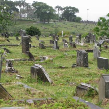 23. Overview from Y section.