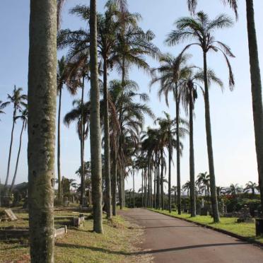 02. Road leading to the Cemetery