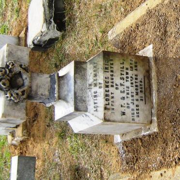 STILL Florence Iris -1885