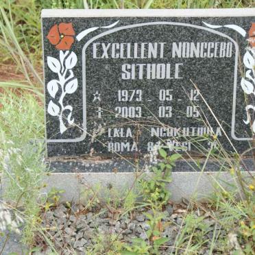 SITHOLE Excellent Nonccebo 1973-2003