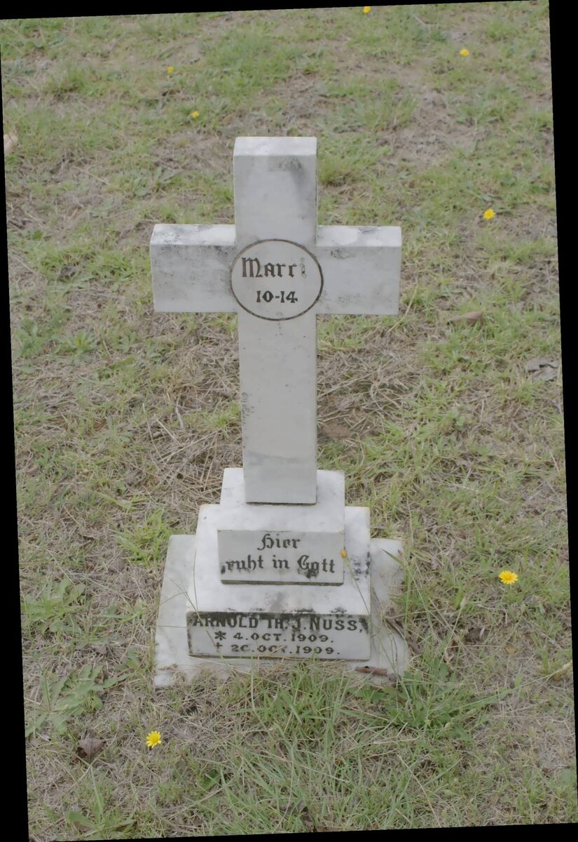 NUSS Arnold Th. J. 1909-1909